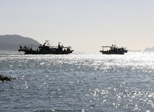 2023강진피싱마스터스 감성돔 경기대회